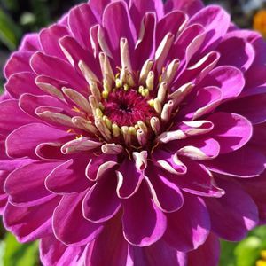 Meet your Posher, Tami